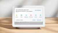 Le Google Home devient Nest Hub en France