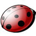 Télécharger CSSED (Webmaster)