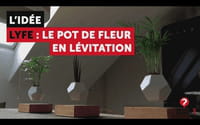 Découvrez Lyfe : Le pot de fleur en lévitation