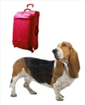 Valise prete