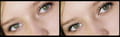 Focus magic free