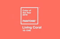 Et la couleur de l’année 2019 est…