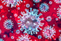 Folding@Home : un logiciel de calcul partagé pour lutter contre le Coronavirus