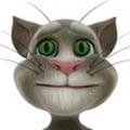 Tom le chat