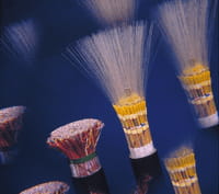 Orange et Free s'allient pour déployer la fibre optique en province