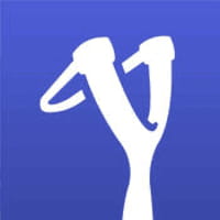 Le nouveau roi de la vidéo verticale, Slinger